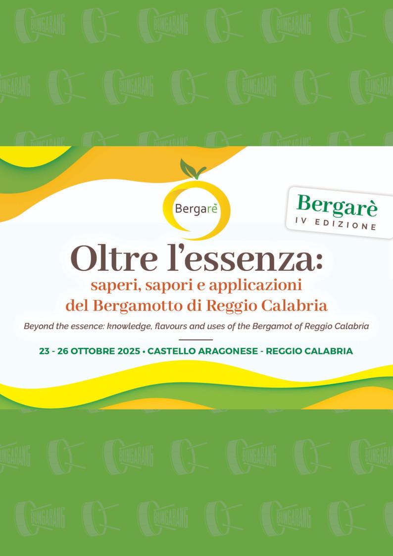 evento locandina bergare 2025