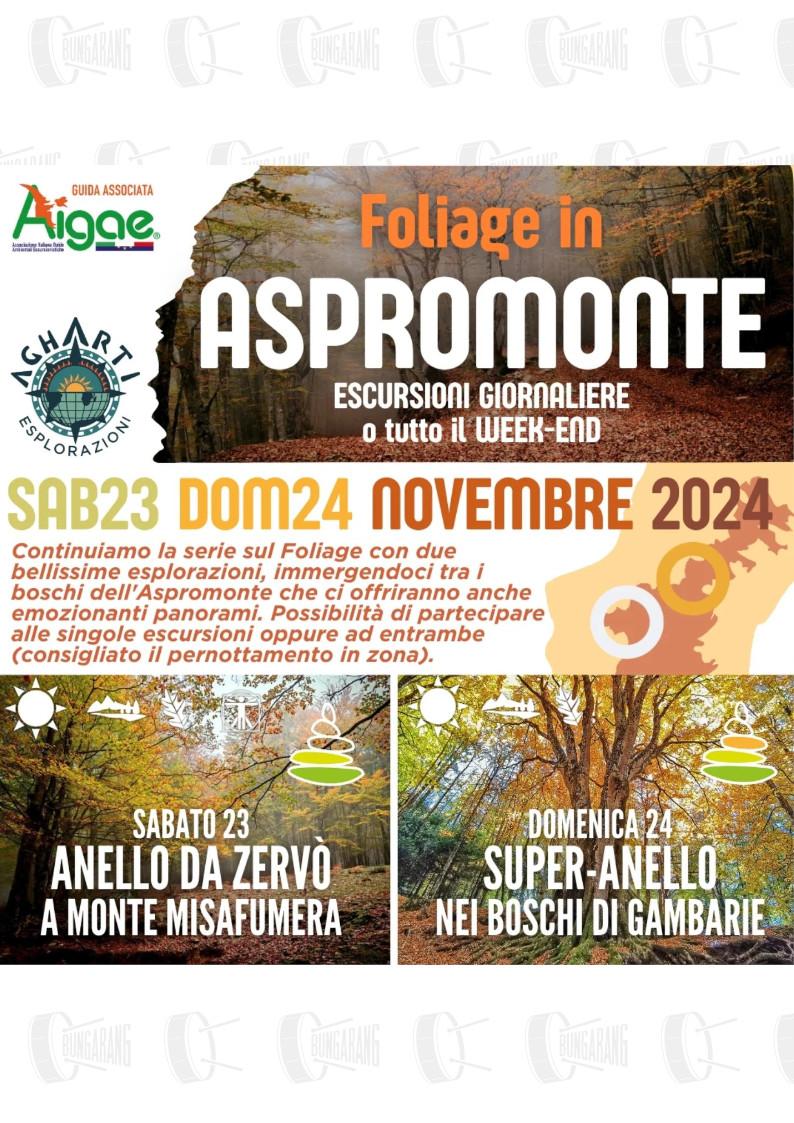 evento locandina foliage in aspromonte